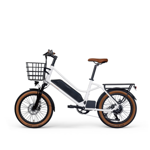 Bicicleta Eléctrica Urbana <span class=keywords><strong>EZREAL</strong></span> de 350W, 20 Pulgadas, Motor Trasero, 36V, Vehículo de Reparto Electrónico Inteligente, Batería Integrada de 14Ah - Product Image 1