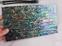 Coquille d'ormeau naturelle en gros 14x24cm avec une épaisseur de 1-2mm pour instruments de musique et incrustation de sol de meubles