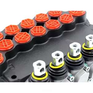 Válvula Direccional Hidráulica P80-G12-G38-OW, Fabricación Personalizada con Servicios OEM y ODM - Product Image 3