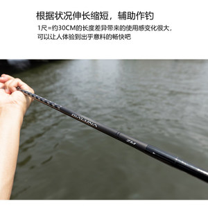 Canne à pêche Shimano Dialuna Zm 2026 Surf Rod, action moyenne rapide, pour la pêche au bar en mer, en rivière et en lac. - Product Image 2