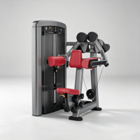 Máquina Comercial de Elevación Lateral con Pesas para Gimnasio, Equipo de Entrenamiento de Hombros y Deltoides