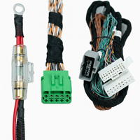 Auto-Navigations-Originalbildschirm-Upgrade Kabelbaum Kupferkern-Steckverbinder IP67 Wasserdicht 12V/24V Automotive-Kabelkonfektion