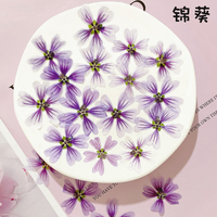 Tanaman Alami Bunga Kering, Kuncup Bunga Hollyhock Ungu, Spesimen Tanaman Bingkai Foto Penanda Buku Lampu Meja DIY Resin Drops