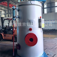 Générateur de vapeur vertical 1T/h à fioul/gaz, source de chaleur pour le chauffage des réservoirs d'eau et des poutres, et pour le chauffage des cours