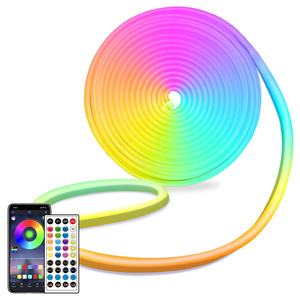 Bande lumineuse LED 24V Néon Flexible Couleur RGBIC Bande lumineuse LED Étanche à la pluie Télécommande APP Gradation Smart Strip Lights - Product Image 1
