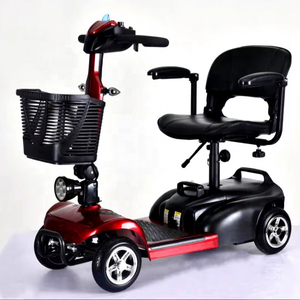 Scooter électrique 24V à 4 roues, carrosserie ouverte, certifié CEE, pour adultes, longue autonomie 30 km, batterie au plomb-acide, moteur 250W, 8 km/h, 120 kg - Product Image 1