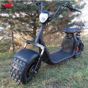 Leoncitycoco cee et COC 4000 W Citycoco rouleau pour enfants billg venda 2 Sitzer - Product Image 2