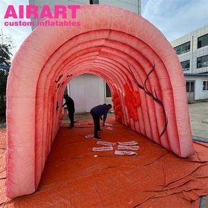 Tunnel Gonflable Géant pour Décoration d'Événements et Accessoire Médical - Product Image 5