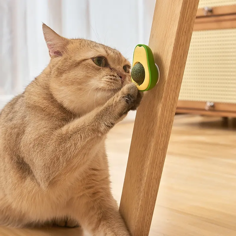 Catnip Bile Fruit Rotatable Saudável Intestine Cat Acessórios Brinquedos Modern Avocado Cat Toy