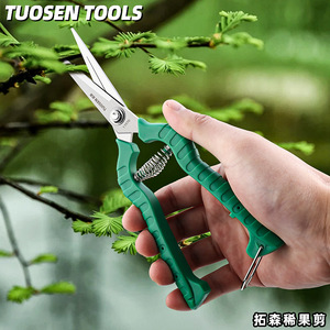Tijeras de podar Tuosen de acero inoxidable con mango de plástico verde, herramienta manual de jardinería para árboles frutales y uvas - Product Image 3