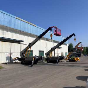 מחיר מפעל יצרן סין מנוף עכביש 3 5 8 12 טון מנוף זחל CE/EPA מנוף הרמה למכירה - Product Image 6