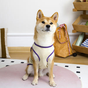 Luxe Simple Style Grand Chien Gilet XL Taille Golden Retriever <span class=keywords><strong>Razak</strong></span> Chai Chien Manteau pour Printemps et Été Grand Chien Vêtements Pour Animaux De Compagnie - Product Image 3