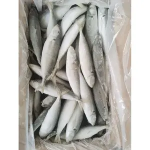 Delectable frozen fish bait for sale for Delicious Seafood meals