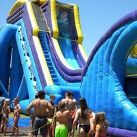 Nouvel équipement de parc aquatique gonflable Aqua Hurricane Hippo Slide en PVC pour jeux aquatiques