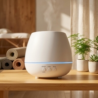 Diffuseur d'huiles essentielles ultrasonique portable à brume froide alimenté par USB, éclairage LED, design écologique, 101-200 ml