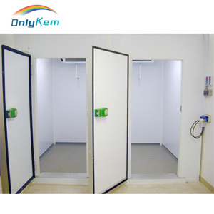 Porta per Cella Frigorifera Personalizzabile, Porta Riscaldata per Cella Frigorifera Italiana per Conservazione di Carne e Pollo - Product Image 3