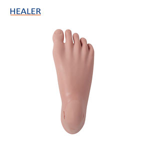 Modèle anatomique de squelette humain pour l'ulcération du pied diabétique pour démontrer les lésions et la douleur du pied dans les écoles - Product Image 2