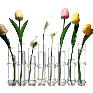 Transparent Glass Hydroponic <b>Vase</b> Set For Home Decor And Floral Arrangements With Water Culture Design - Product Image 3