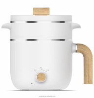 Marmite de cuisson électrique en acier inoxydable, mini casseroles, verres à chaud électriques, frites
