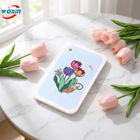 Woxin Outils de nettoyage de vitres écologiques, Balai en cellulose, Trapeador avec manche, Réutilisable, Haute capacité de nettoyage, Éponge PVA pour poussière humide et vaisselle