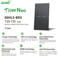 Panneau solaire photovoltaïque bifacial double vitrage Jinko Tiger Neo N-type 66HL5-BDV 725W 730W 735W 710W 715W 720 Watt