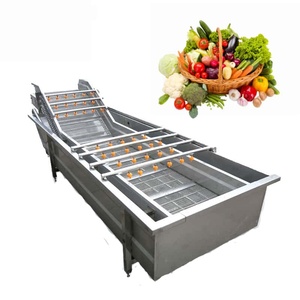 Machine à laver à bulles compacte, portable, automatique, commerciale et industrielle pour fruits et légumes - Product Image 1