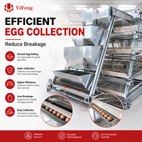Cage à volailles de type A, cage automatique pour poules pondeuses à 4 niveaux, collecte des œufs, courroie à fumier, abreuvoir à tétine, alimentation et abreuvement, acier galvanisé