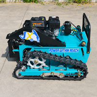 Tondeuse à fléaux télécommandée sur chenilles CE GQ550A 550 mm, débroussailleuse à essence sur chenilles pour ferme, verger et pente