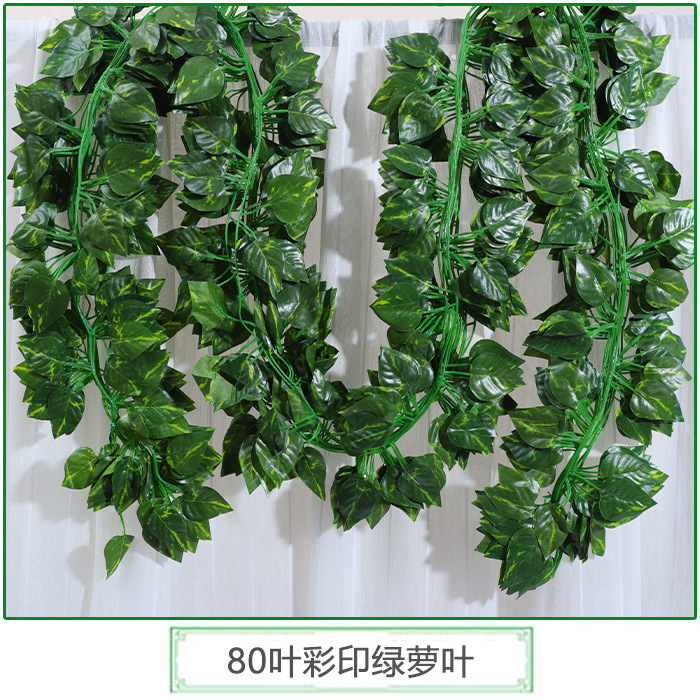 Feuilles de pothos imprimées, 80 feuilles.