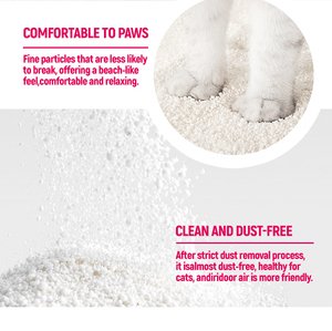 <span class=keywords><strong>Arena</strong></span> para Gatos de Yuca Biodegradable, Ligera, de Alta Absorción y con <span class=keywords><strong>Mejor</strong></span> Control de Olores, <span class=keywords><strong>la</strong></span> Más Vendida - Product Image 4