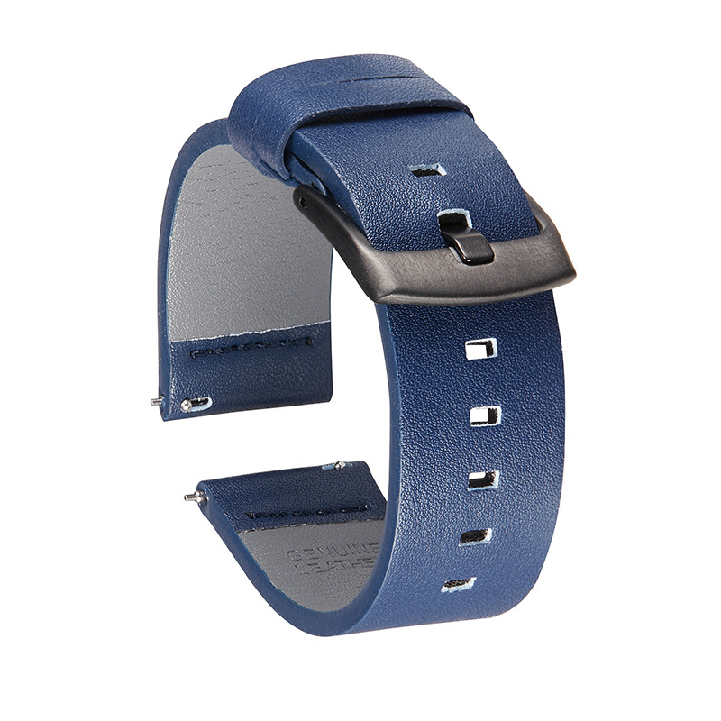 Bleu-Boucle noire