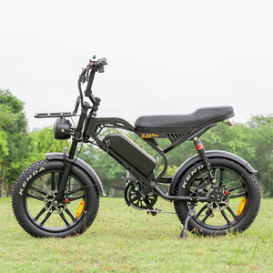 EU Kho 24 Inch Xe Đạp Điện S20 Pro Fatbike 250 Watt Chất Béo Lốp Tích Hợp Pin Ebike Cho Thực Phẩm Giao Hàng V20 - Product Image 4