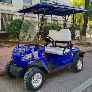 Blue 2 Seater <strong>Golf</strong> <strong>Cart</strong> Electric Motor 5kw Utility <strong>Cart</strong> 4 <strong>Wheels</strong>