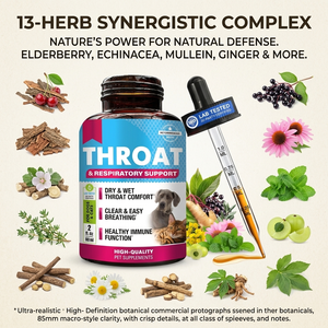 Gotas de soporte pulmonar <span class=keywords><strong>para</strong></span> perros Suplementos de salud respiratoria Mullein Leaf & Echinacea Hierba Pulmones Líquido Suplementos de vitaminas <span class=keywords><strong>para</strong></span> perros - Product Image 3