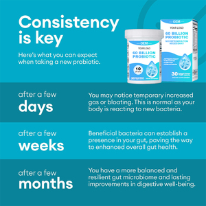 Groothandel Probiotica 60 Miljard Capsules Cfu 10 Stammen Prebiotica Immuunsysteem Spijsvertering Darmgezondheid 60 Miljard Probiotica Capsules - Product Image 4