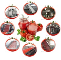 Turnkey fabriek voor de productie van tomaten-chilisaus, industriële machines voor de verwerking van tomatenpuree en ketchup