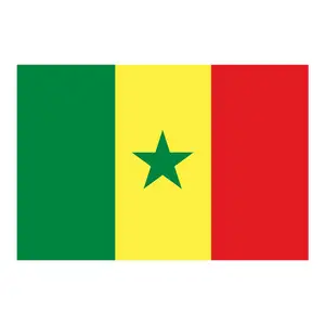 Quốc gia tất cả các nước polyester ngoài trời Thăng hoa 3X5FT cờ quốc gia senegal cờ