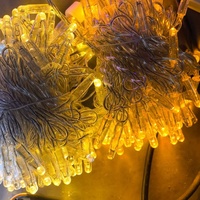 Guirlandes lumineuses LED en PVC imperméables IP65 pour usage extérieur, Ra80, blanc chaud, à intensité variable, décoration paysagère, Diwali, Inde, Noël, Ramadan, Eid