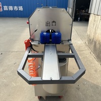 Hoge productiviteit commerciële automatische elektrische fruit- en suikerriet schil-, snij- en reinigingsmachine met lagers