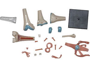 XR Medical Science <span class=keywords><strong>Tête</strong></span> humaine 4D, Genou humain standard pour l'anatomie - Product Image 6