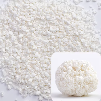 Litière pour chat en cassava, fine et biodégradable, agglomération rapide, contrôle des odeurs, bonne absorption des excréments, douce pour les pattes des chatons, 2,5 kg