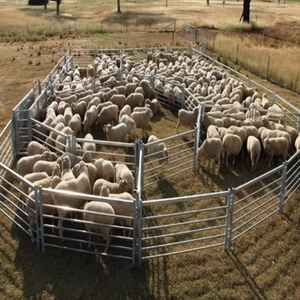 Recinzione per Bestiame, Pannelli per Recinzione di Bovini, Ovini e Cavalli, Pannelli Zincati per Pascoli a Prezzo di Fabbrica - Product Image 6