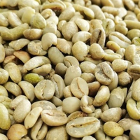 En Çok Satanlar: Robusta Yeşil Kahve Çekirdekleri Vietnam Dak Lak DHPONE AA Kalite %100 Doğal Renk Nötr Tadı Alerjik Olmayan