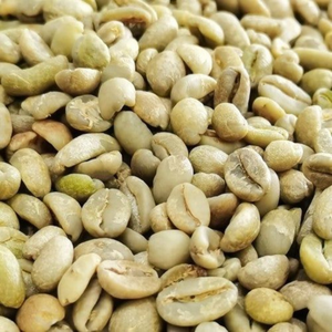 High Quality Raw <b>Coffee</b> <b>Beans</b>_Arabica & Robusta Green <b>Coffee</b> <b>Beans</b> In Bulk – Vietnam Export Standard Screen 16 - Product Image 4