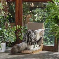 Offre Spéciale : Griffoir en Carton Ondulé en Forme de L Haute Densité pour Chats et Chiens – Grandes Plaques de Griffoir Durables en Carton pour Toutes Saisons