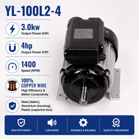 Moteur asynchrone monophasé à double condensateur YL-100L2-4 3,0 kW 4 CV avec enroulement en cuivre pur pour équipement de traitement