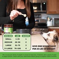 Poudre de fibres de citrouille pour chiens avec Psyllium Husk, favorisant la santé des graisses et du système digestif, soutien OEM