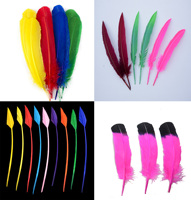 Plume de dinde bleue teinte DIY pour artisanat, coiffure, chapeau, accessoire de costume, cosplay, carnaval, fête, mariage, décoration florale pour la maison