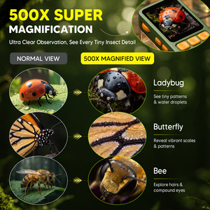 Insect Explorer Scope 2.4 Inch Screen Pocket <b>Microscope</b> for Nature Observation - Product Image 3