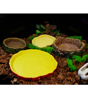 Décoration pour aquarium et terrarium de reptiles - Plateforme d'alimentation et abreuvoir décoratif - Product Image 4